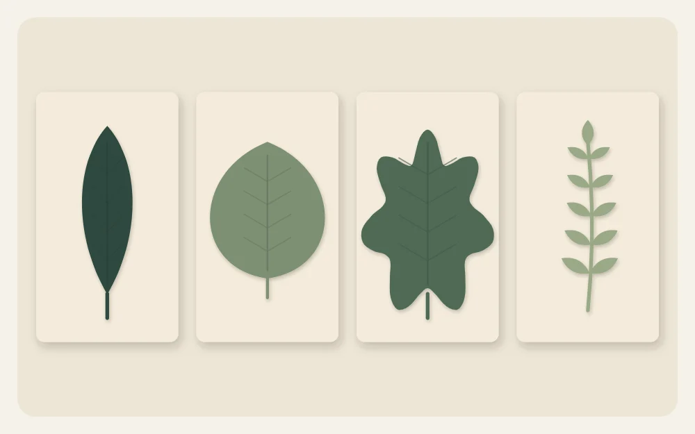 Four simple leaf shapes in a row: long oval, rounded, lobed, and a stem with paired leaves