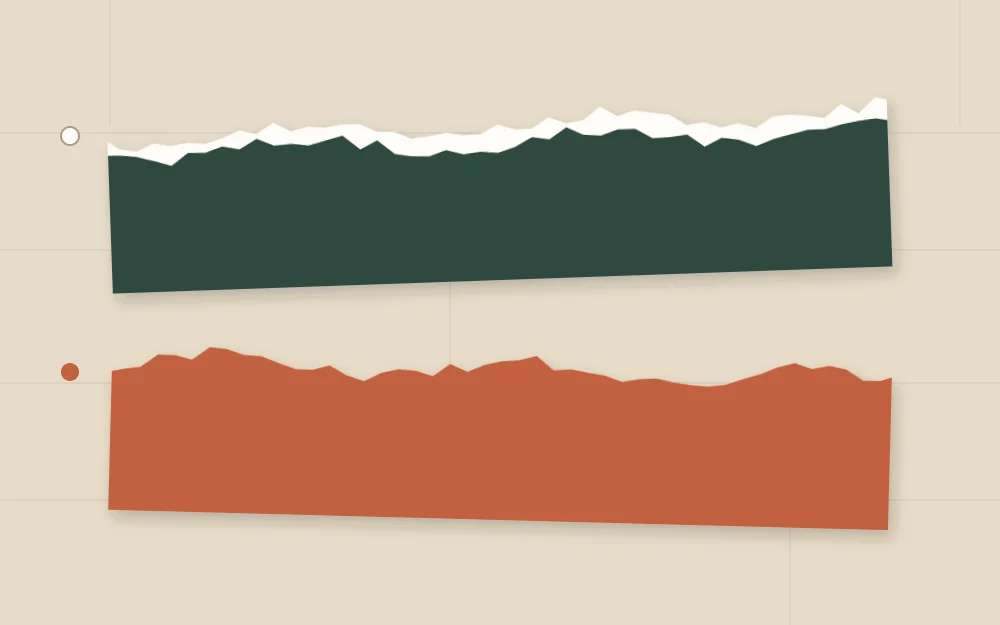Two paper strips showing torn edges: one with a rough white border, one with a clean colored edge